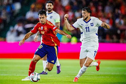 สเปน vs เซอร์เบีย