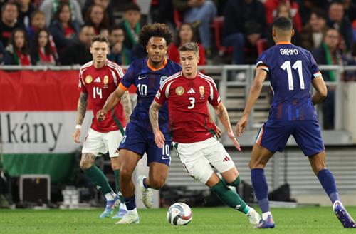 ฮังการี vs เนเธอร์แลนด์