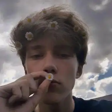 ดาชีลล์